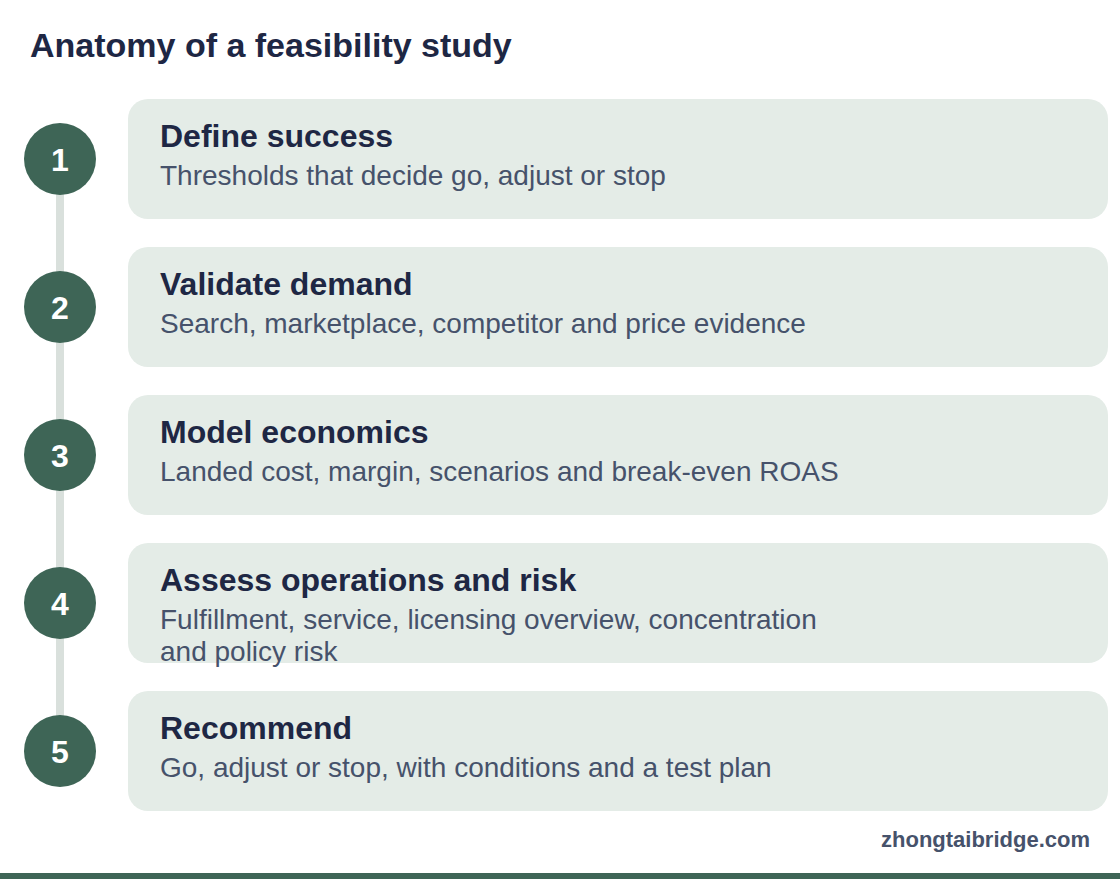 Process diagram: Anatomy of a feasibility study